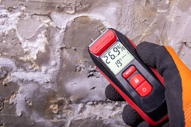 Certified Mold Removal in Sugar City, ID
